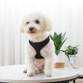 Vest-Style Dog Walking Harness - product photo 1