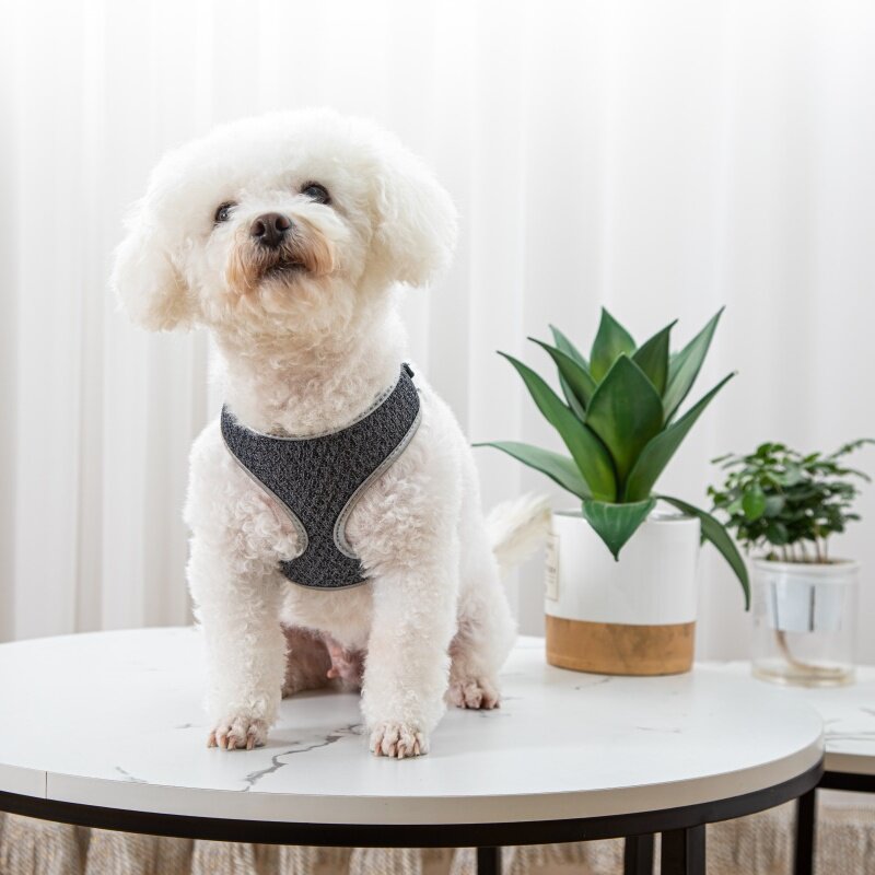 Vest-Style Dog Walking Harness - product photo 4