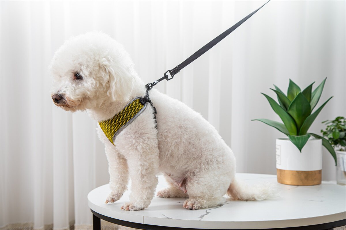 Vest-Style Dog Walking Harness - product photo 7